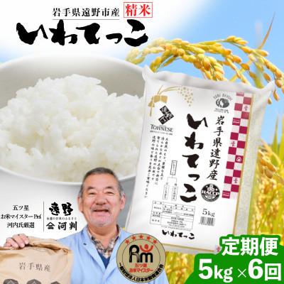 ふるさと納税 遠野市 【毎月定期便】遠野産 いわてっこ 精米 5kg 河判全6回