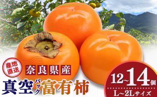 真空パックで 新鮮 ！ 貯蔵 富有柿 12 個～14 個 L ～ 2L サイズ | 年内発送可能 お年賀 フルーツ くだもの 果物 柿 かき カキ 富有柿 奈良県 五條市 デザート 人気 国産 産地直送 果実 12月 順次発送 秋 旬 味覚 グルメ お取り寄せ 送料無料 大容量 農家直送 ビタミン タンニン 食物繊維 豊富 美容 健康 特産品 甘い 多汁 甘柿 杉原農園 柔らかい 冷蔵