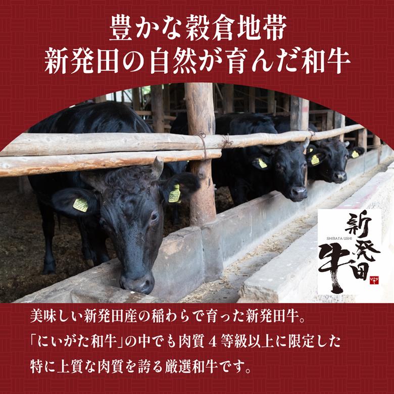 新発田牛 カレー すき焼き煮 しぐれ煮 3種 各2袋 計6袋 パック 詰合せ セット ｜ 肉 牛肉 牛 新発田牛 カレー すき焼き しぐれ煮 にいがた和牛 ブランド牛 簡単 簡単調理 個包装 セット 