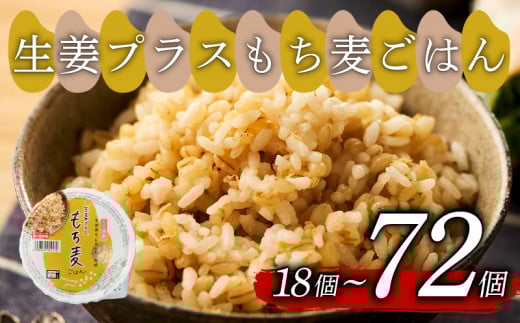 生姜プラスもち麦 ごはんパック 160g 18個 生姜 もち麦 麦 米 ごはん ご飯 こめ パックライス パックご飯 パックごはん ご飯パック ごはんパック パック ライス 備蓄 防災 保存 電子 レンジ 温めるだけ レンチン 簡単 調理 健康 美容 ヘルシー ダイエット レトルト インスタント おいしい 人気 おすすめ 国産 食物繊維 穀物 個包装 18 18食 おくさま印 大阪 松原