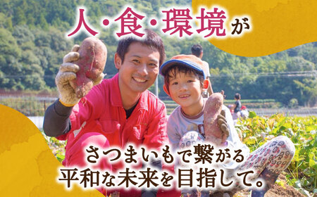 【全3回】さつまいも スイートポテト16個 さつまいも[XAD060]