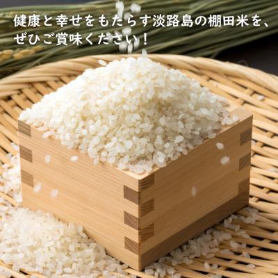 ふるさと納税 淡路市 健幸農園の棚田米 5kg 【2025年産】　ak29012 |  | 02