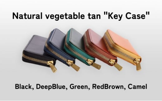 [№5258-8089]1099 Key Case Camel