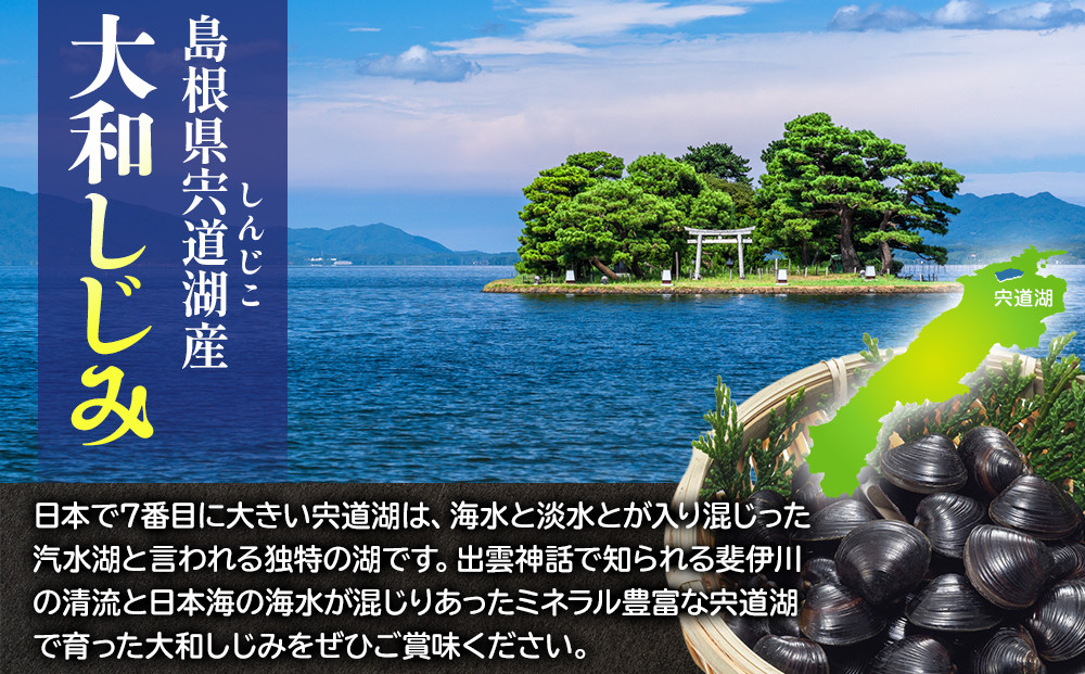 宍道湖産冷凍しじみＳサイズ（殻幅10mm～12mm）240ｇ×10袋