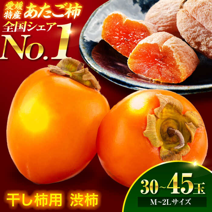 【ふるさと納税】【11月上旬より順次発送】 干し柿 用 渋柿！ あたご柿 10kg (Mから2L 約30玉から45玉) | 人気 おすすめ ランキング おいしい 甘い 大洲市/沢井青果[AGBN022] 10000 10000円 以上