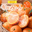 【ふるさと納税】【限定】 【平武農園より農家直送！】 有田みかん 訳あり5kg(3L～3S) 蛍飛ぶ町から旬の便り