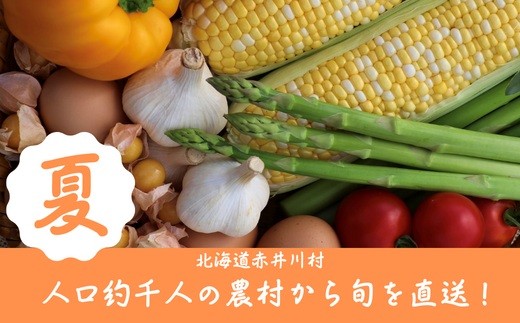 
            夏【産地直送】8月旬の野菜セット（野菜や加工品のお店かしづく）
          