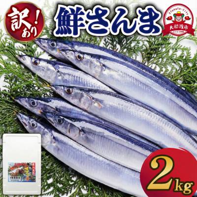 ふるさと納税 大船渡市 訳あり 鮮さんま 2kg [yoshidasyouten013_y]