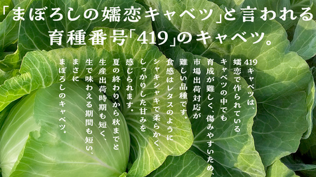 【 2025年 7月中旬 発送開始 】 まぼろしの419キャベツ 2玉 きゃべつ 嬬恋村産キャベツ 羽生田売店 幻のキャベツ419 産地直送 期間限定 先行予約 人気 朝採り 通販 お取り寄せ 関東 