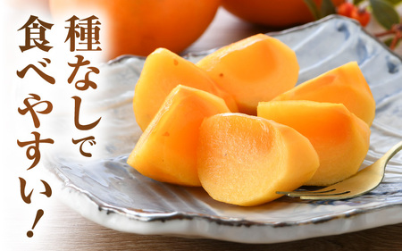 【先行予約】越前柿 36個入 約6kg（M～2L）≪JA受賞歴親子２代≫  ／ 果物 フルーツ 柿 産地直送 期間限定 あわら ※2024年11月上旬より順次発送