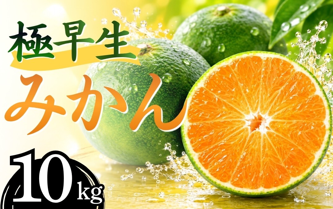 
                  【先行予約】湯の花　極早生温州みかん10kg箱　【 早生 極早生 温州 みかん 果物 果物 フルーツ 旬 柑橘 甘い 新鮮 伊豆 南伊豆 】　<BC-71>
                
