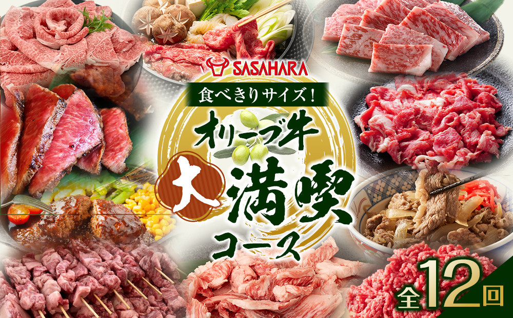 【全12回】食べきりサイズ！オリーブ牛の大満喫コース 372013_HM241