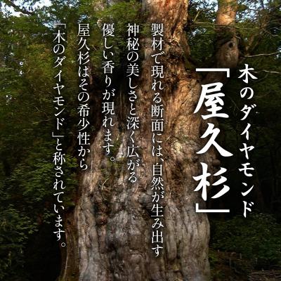ふるさと納税 鹿児島市 屋久杉　定規　A ゴシック体　K042-012_1 |  | 01