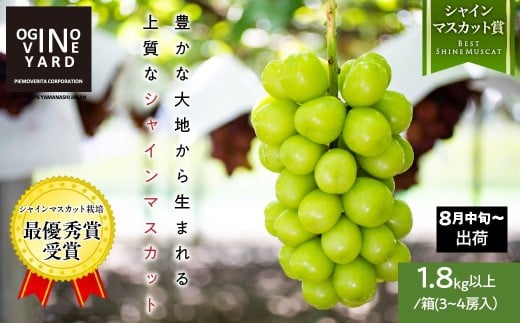【2026年先行予約_8月中旬～発送】山梨県産シャインマスカット １．８ｋｇ以上／箱　３～４房入 ALPAK007｜おすすめ 人気 山梨県 産地直送 フルーツ 果物 くだもの ブドウ ぶどう シャイン マスカット くだもの 国産 葡萄 新鮮