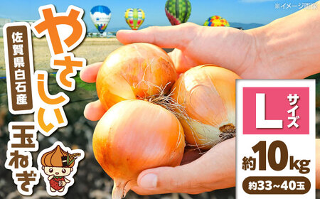 白石産玉ねぎ 約10kg Lサイズ IDQ006 たまねぎ 玉ねぎ