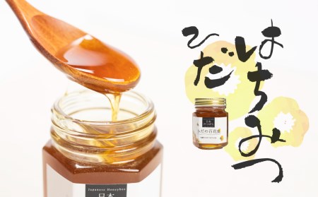 飛騨日本みつばちの会 ひだの百花蜜 150g 1本 はちみつ 蜂蜜 蜂蜜 [Q396]