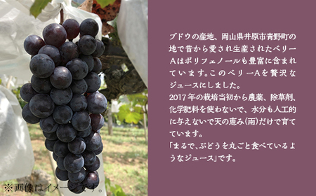 農薬不使用ぶどうジュース（ベリーＡ）【2025年10月から順次発送】