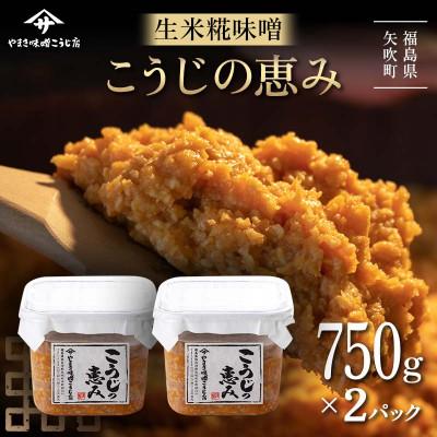 ふるさと納税 矢吹町 糀が生きてる生米糀味噌「こうじの恵み」1.5kg