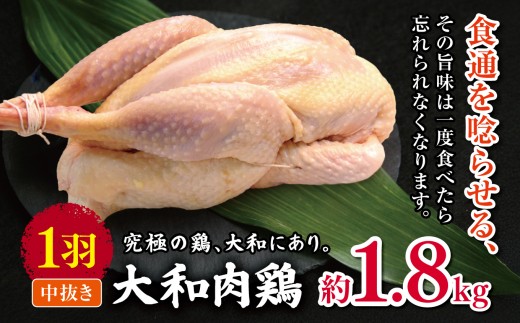 大和肉鶏 中抜き 約1.8kg 1羽 |  肉 鶏 大和 鶏肉 かしわ うまみ 料理 和食 洋食 食卓 新鮮 食 フード 高品質 コク おすすめ だし 一貫生産 国産 通販 ギフト 奈良県 五條市