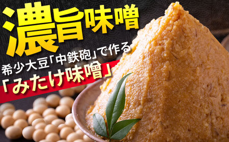 「元祖みたけとんちゃん」 【辛口セット】 ピリ辛みそ味×ミックスホルモン狂辛（8人前）/ モツ もつ ホルモン レバー 辛口 / 御嵩町 / 藤よし[AVAA055]