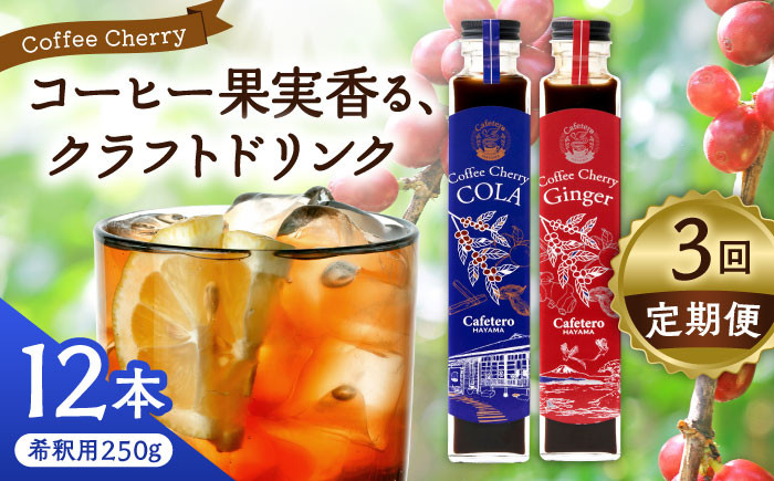 
            【全3回定期便】カフェテーロ葉山　コーヒーチェリーコーラ 6本 コーヒーチェリージンジャー 6本/ コーラ エナジードリンク 酸味 コーヒー  神奈川県 葉山町 クラフトコーラ 天然 ドリンク 炭酸【合同会社エンディレクト】 [ASBM019]
          