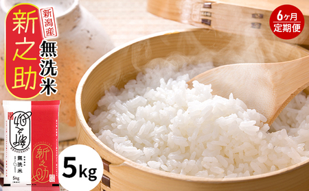 新之助 無洗米 5㎏ 6ヶ月 定期便 30㎏ 新之助