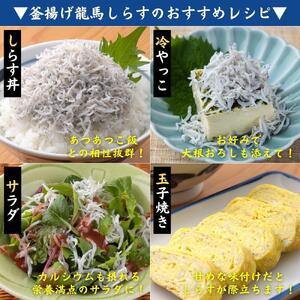 【高知県産】釜揚げ龍馬しらす 約５０ｇ×１０袋