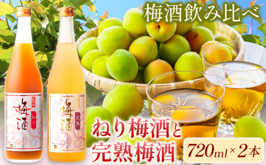 梅酒 紀州完熟南高梅 濃厚 ねり梅酒と芳醇 完熟梅酒 720ml×各1本 酒のねごろっく《30日以内に出荷予定(土日祝除く)》和歌山県 岩出市 吉村秀雄商店 酒 梅酒 飲み比べ 紀州 ねり梅酒 完熟梅酒 南高梅 720ml 1440ml 送料無料