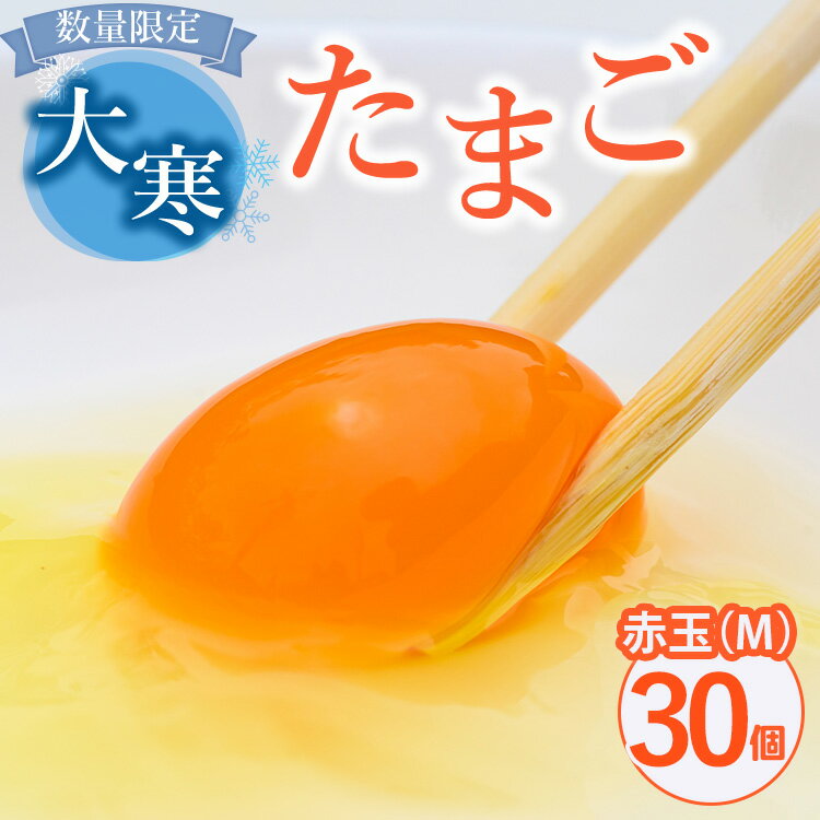 【ふるさと納税】数量限定！大寒卵　赤玉30個入り（M玉）小久保ファーム ※2026年1月下旬頃より順次発送予定 ｜ 新鮮 濃厚 赤たまご たまご 卵 玉子 鶏卵 生卵 赤玉 濃厚卵黄 産みたて たまごかけご飯 大寒 TKG 縁起 金運 健康 農家直送 送料無料 _EI05