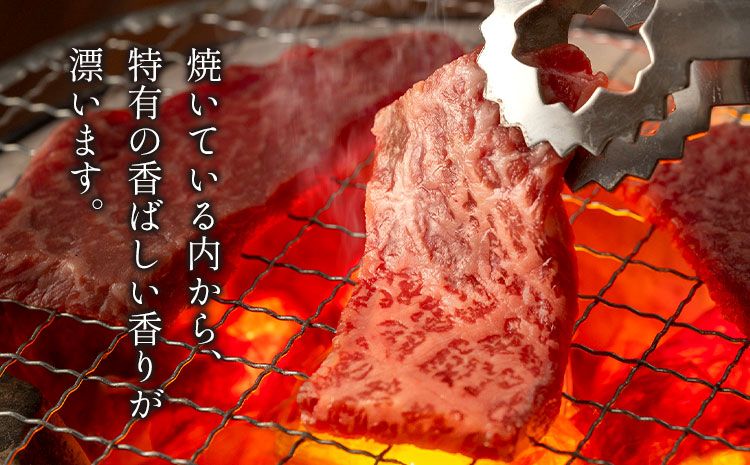 セット650g(霜降り325g+赤身325g) 数量限定 牛肉 冷凍 黒毛和牛 《30日以内に出荷予定(土日祝除く)》 個別 取分け 小分け 個包装 赤身 霜降り 岡山県 笠岡市 牛 牛肉 和牛 焼肉