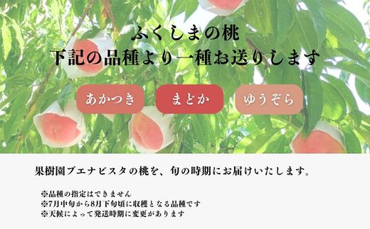 No.2870 もも（品種おまかせ）ご家庭用　約2.7kg　【2026年発送】