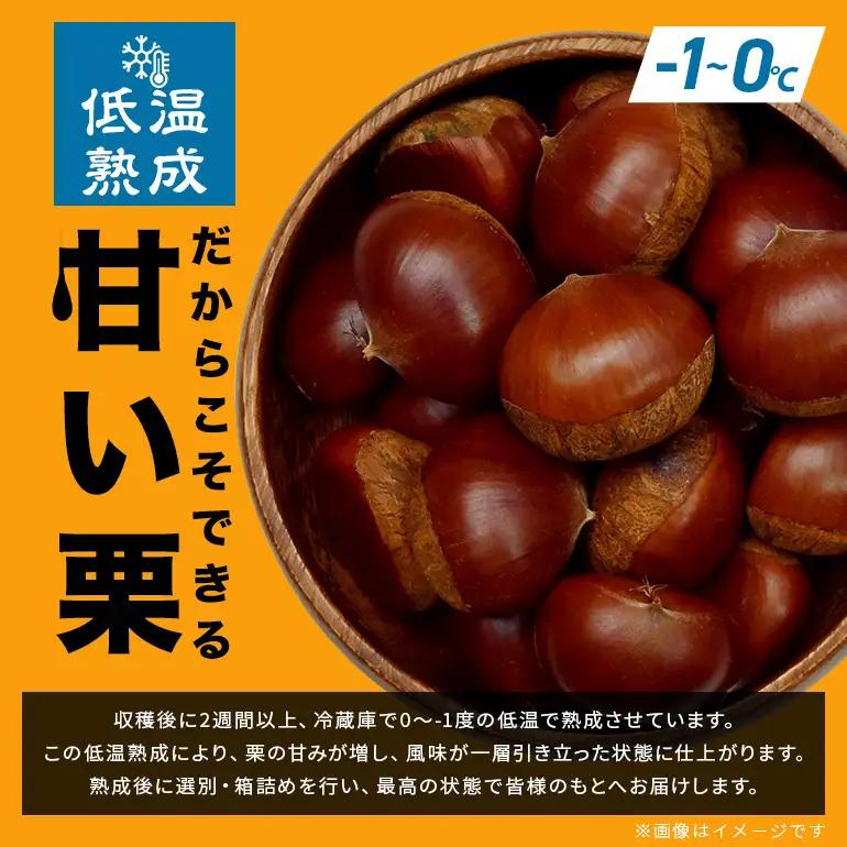 熟成生栗 2kg 栗 2L JV-004