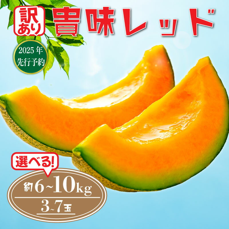 【ふるさと納税】 訳あり 2025年 先行予約 貴味 レッド メロン 赤肉 選べる 約6kg / 約10kg めろん melon 甘いメロン 貴味メロン デザート 美味しい おいしい 糖度 甘い あまい おすすめ 高級 旬 果物 くだもの フルーツ 贈り物 ギフト プレゼント 千葉県 旭市 たかの果樹園