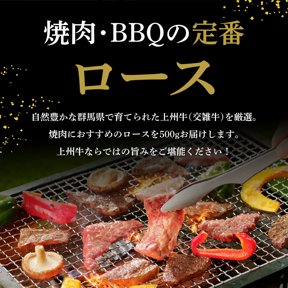 牛肉 ロース 【上州牛】 500g  群馬 県 千代田町 ch013-005rhrr_イメージ3