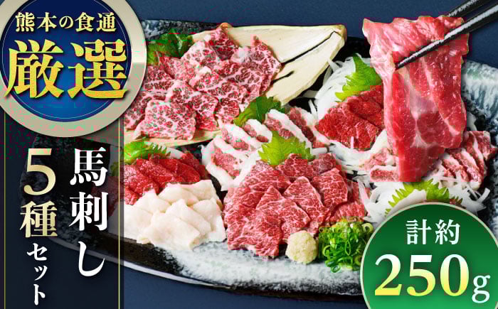 
            馬刺し 5種 盛り合わせセット 5人前 約250g 熊本直送 専用醤油付き 熊本馬刺し 冷凍 馬肉 馬刺 ヘルシー馬刺し ばさし 馬肉 小分け【株式会社Foody's】 [YDX001]
          