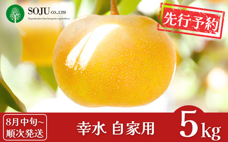 幸水 先行予約 和梨 幸水 自家用 約5kg [8月中旬から発送予定] 令和7年産 新潟県 幸水 三条市産 梨