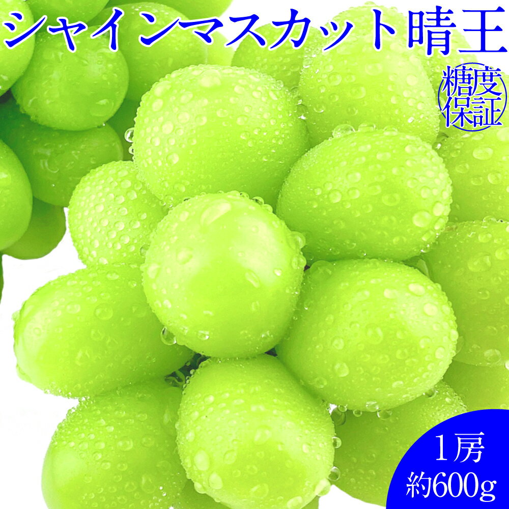 【ふるさと納税】晴王 シャインマスカット晴王 1房 約600g 岡山県産 種無し 皮ごと食べる みずみずしい 甘い フレッシュ 温室栽培 晴れの国 おかやま 果物大国 満天フルーツ ぶどう 葡萄 くだもの 果物 国産 倉敷市 送料無料 【先行予約：2026年7月上旬～8月下旬発送予定】
