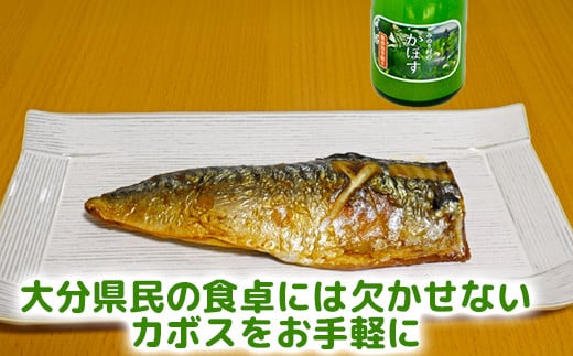 焼き魚にもオススメです！