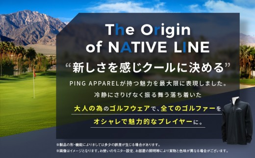 ピンゴルフ ワッフルハーフジップカットソー 長袖シャツ ブラック Lサイズ