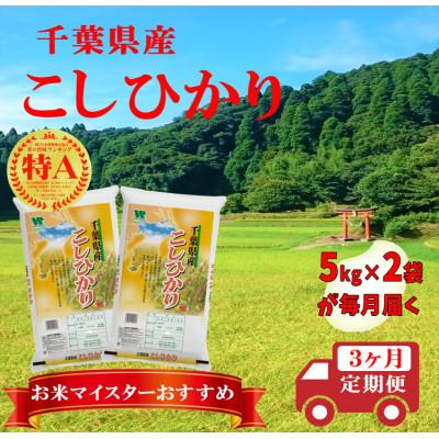 ふるさと納税 大網白里市 【毎月定期便】コシヒカリ 精米 10kg (5kg×2袋)全3回