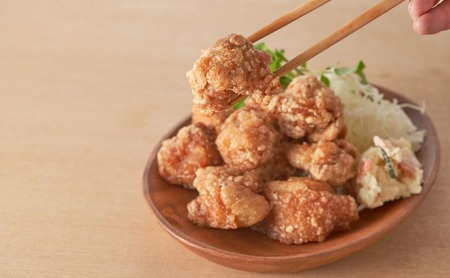 大分名物からあげ 塩からあげ×10袋 |津久見市 からあげ