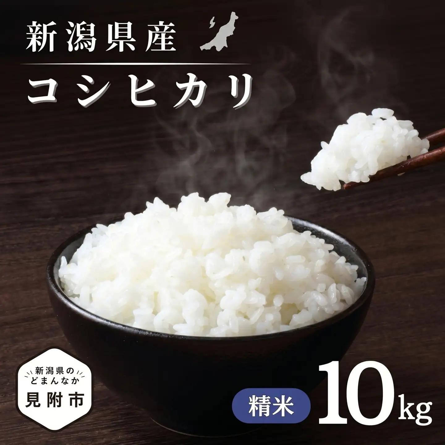 米【令和7年産】コシヒカリ 精米10kg