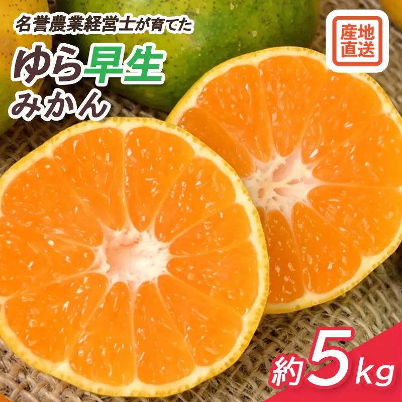 ゆら 早生 みかん 静岡県産 約5kg 
