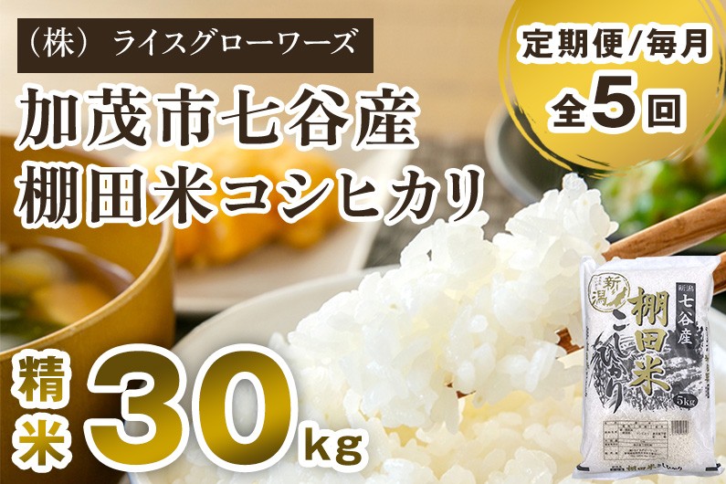 
                  【令和8年産新米先行予約】【定期便5ヶ月毎月お届け】新潟県加茂市 七谷産 棚田米コシヒカリ 精米30kg（5kg×6）《10月上旬～順次出荷》 白米 （株）ライスグローワーズ
                