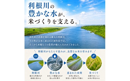 【最短1週間以内発送！】 彩のきずな 10kg 【精米】 令和7年産 5kg × 2袋 白米 米 お米 ライス 10キロ 米10kg ごはん こめ コメ はくまい kome okome ※ ブランド米