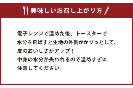 ミニ たい焼き 25個（合計1kg）自家製あんこ 和菓子 おやつ