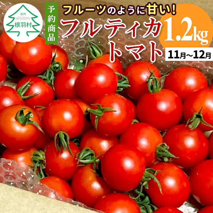 【ふるさと納税】予約品※2025年11月～12月発送★フルーツのように甘い フルティカトマト 1.2kg 令和7年度産 ※予約商品※ 割れ保障付 毎年大人気！早いもの勝ち！ 数量限定 トマト 中玉 フルーツ フルーツトマト トマト ミニトマト 5000円 5,000円