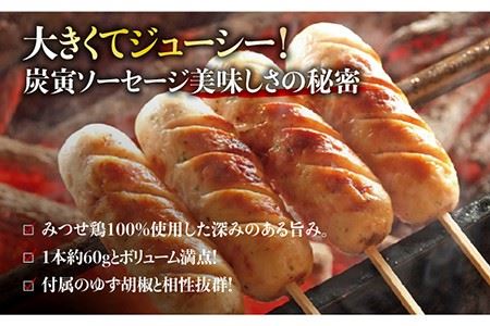 絶品料理でおうち飲み充実間違いなし！みつせ鶏つくね6個・みつせ鶏ソーセージ6本ギフトセット 吉野ヶ里町/炭寅コーポレーション  [FCI005]