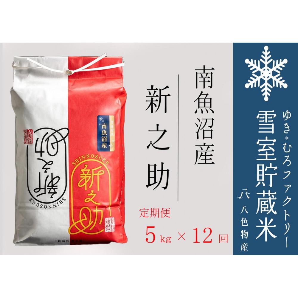 【ふるさと納税】【令和7年】新之助【定期便5kg×12回】雪室貯蔵米 南魚沼産 | お米 こめ 白米 食品 人気 おすすめ 送料無料