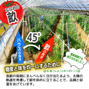 まっことうまい！水田さんのフルーツトマト【約２kg×2箱 / 化粧箱入】